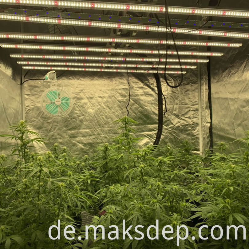 Factory Direct 1000w Led Grow Light